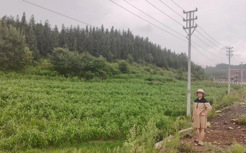 貴州東湖新城市建設(shè)投資有限公司持有的4處商業(yè)地塊