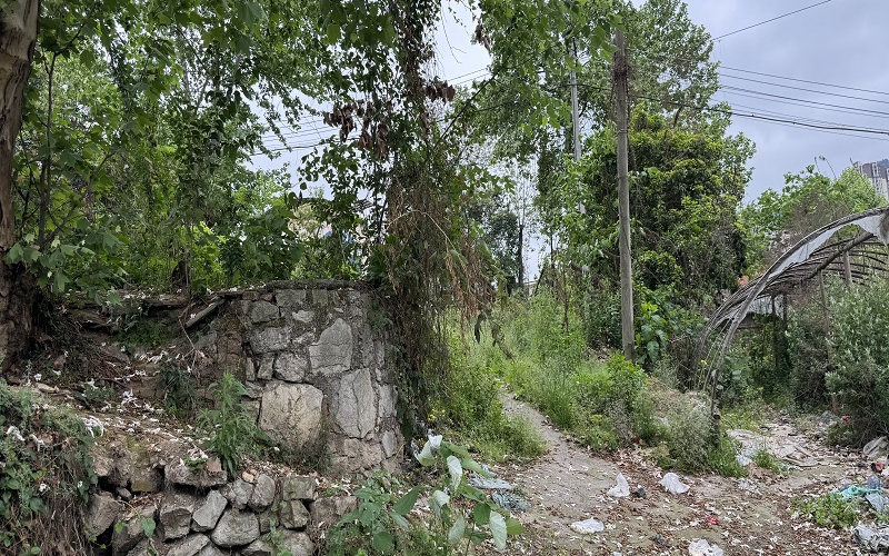 貴州省機(jī)關(guān)事務(wù)管理局國有資產(chǎn)管理服務(wù)中心遵義市紅花崗區(qū)桃溪路51號(hào)2處資產(chǎn)招租