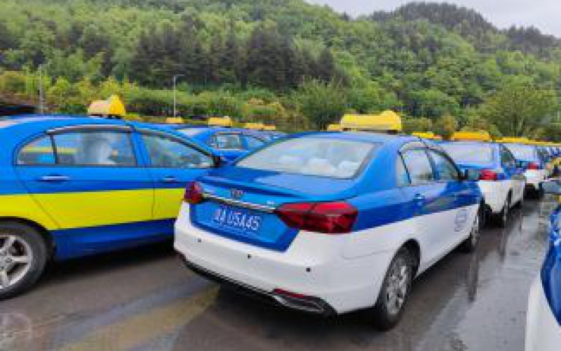 貴陽市公共交通(集團(tuán))有限公司22臺(tái)出租車處置